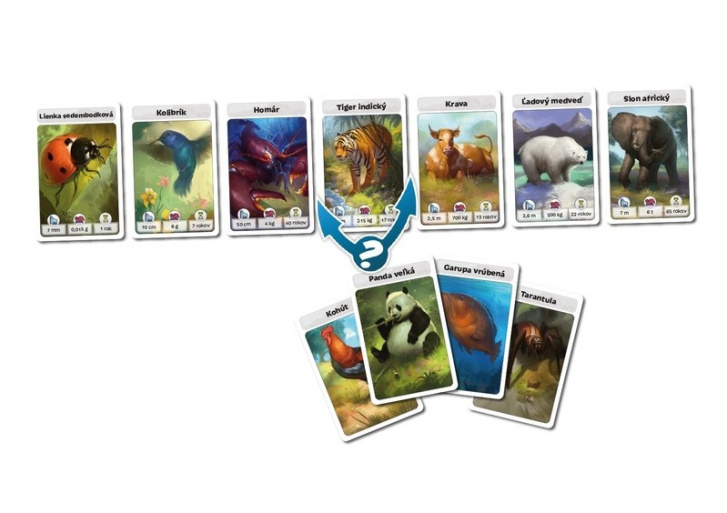 Cardline – Svet Zvierat