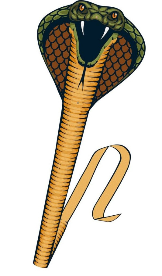 Šarkan Cobra