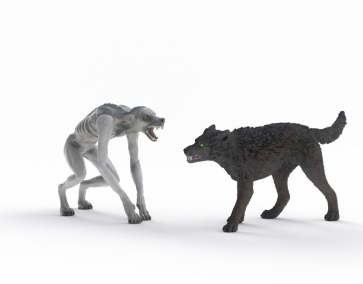 Schleich – Vlkolak vs. animágus 14906