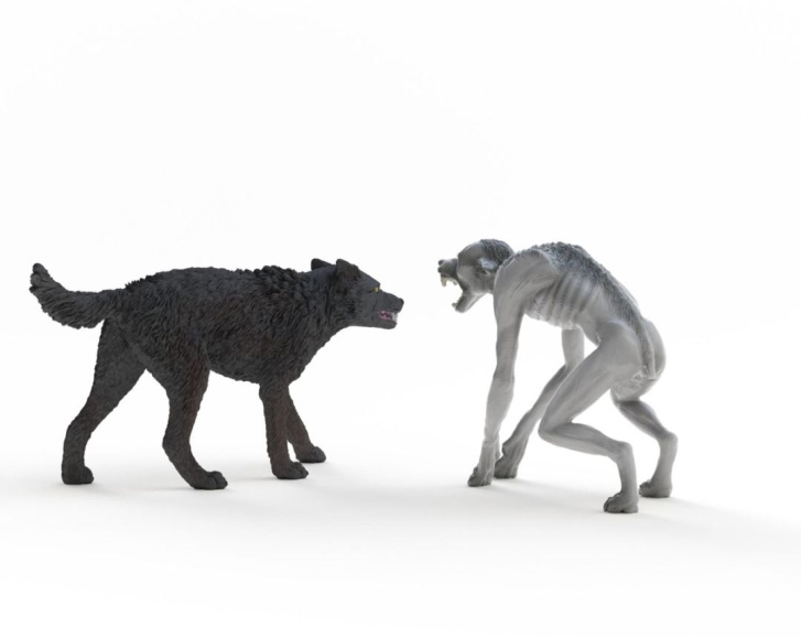 Schleich – Vlkolak vs. animágus 14906