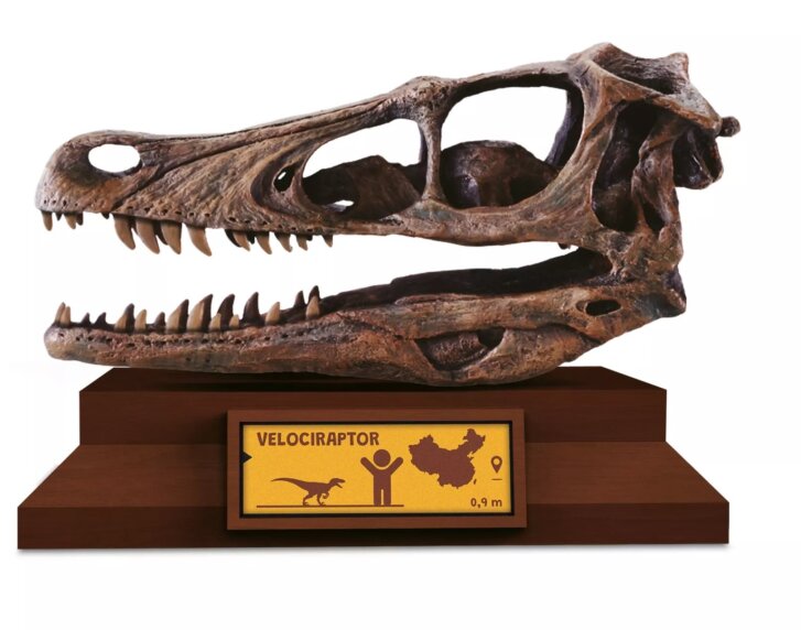 Albi Science - Lovci lebiek Velociraptor