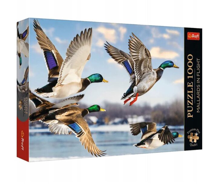 Puzzle 1000 – Divé kačice