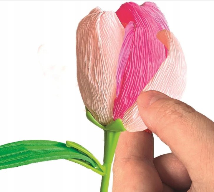 Výroba kvetov – Tulipán