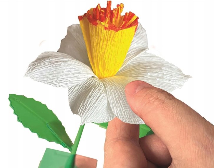 Výroba kvetov – Narcis