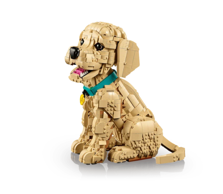 11384 Lego Icons - Šteňa zlatého retrievera