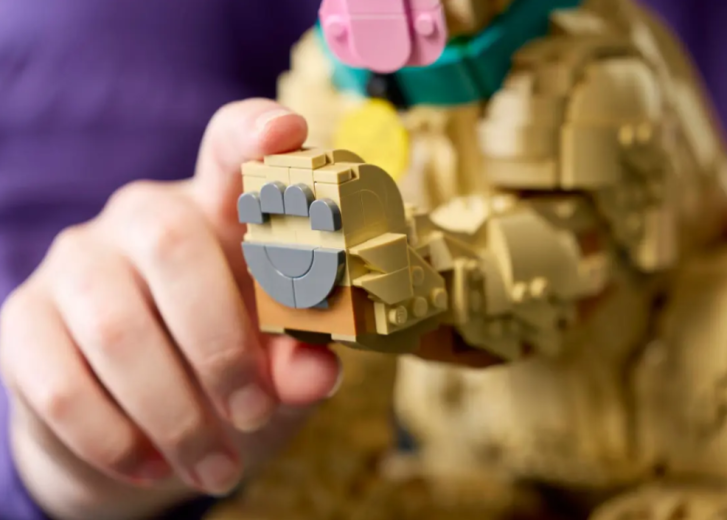 11384 Lego Icons - Šteňa zlatého retrievera