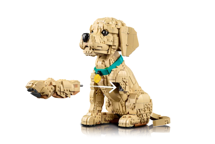 11384 Lego Icons - Šteňa zlatého retrievera