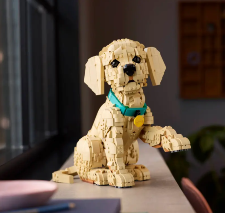 11384 Lego Icons - Šteňa zlatého retrievera