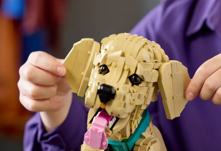 11384 Lego Icons - Šteňa zlatého retrievera