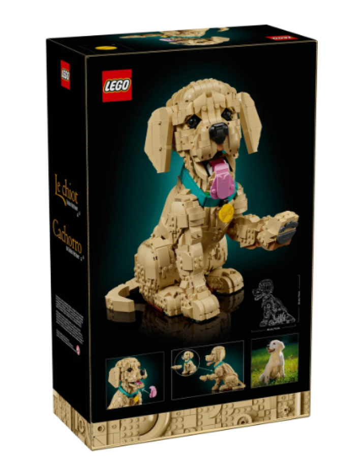 11384 Lego Icons - Šteňa zlatého retrievera