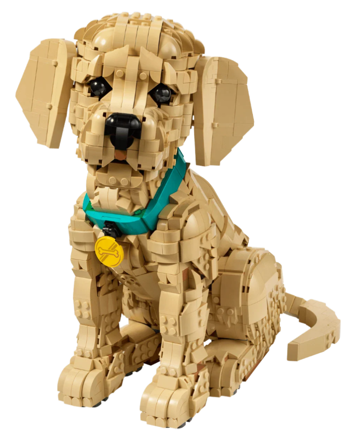 11384 Lego Icons - Šteňa zlatého retrievera