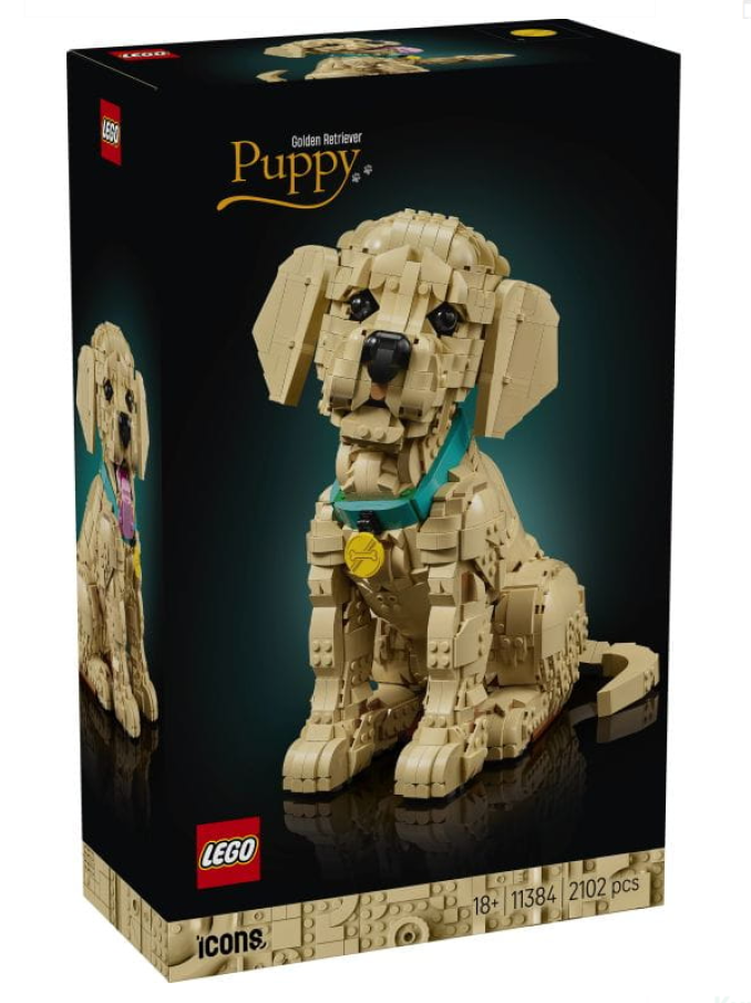 11384 Lego Icons - Šteňa zlatého retrievera