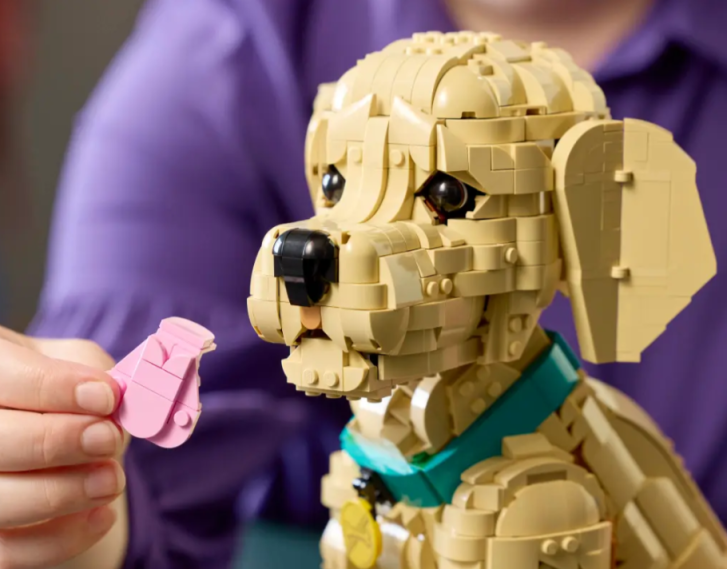 11384 Lego Icons - Šteňa zlatého retrievera