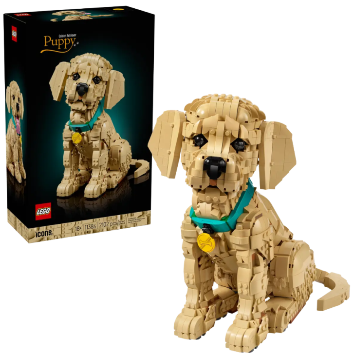 11384 Lego Icons - Šteňa zlatého retrievera