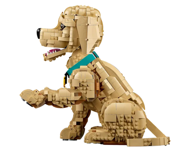 11384 Lego Icons - Šteňa zlatého retrievera