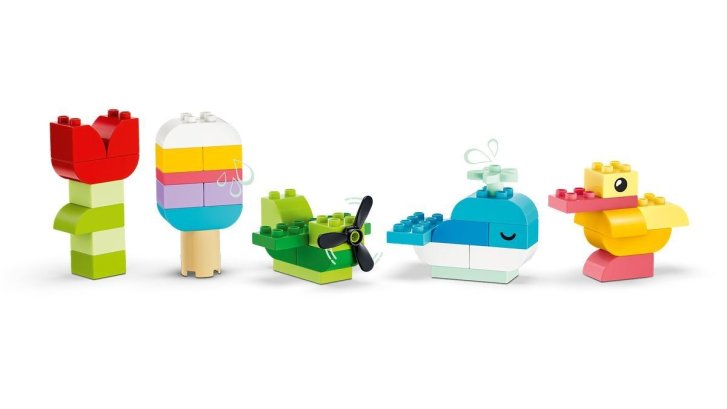 10479 Lego Duplo - Farebný kreatívny box s kockami