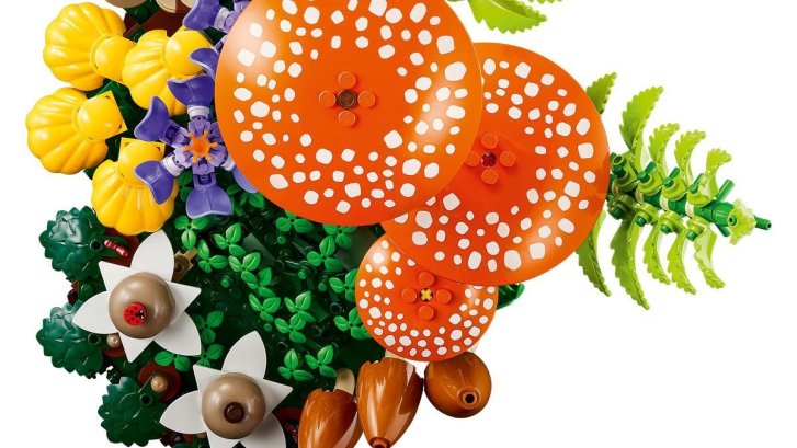 11505 Lego Botanicals - Lesné huby