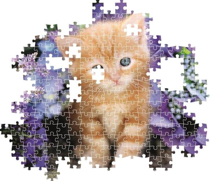 Puzzle 500 – Mačiatko