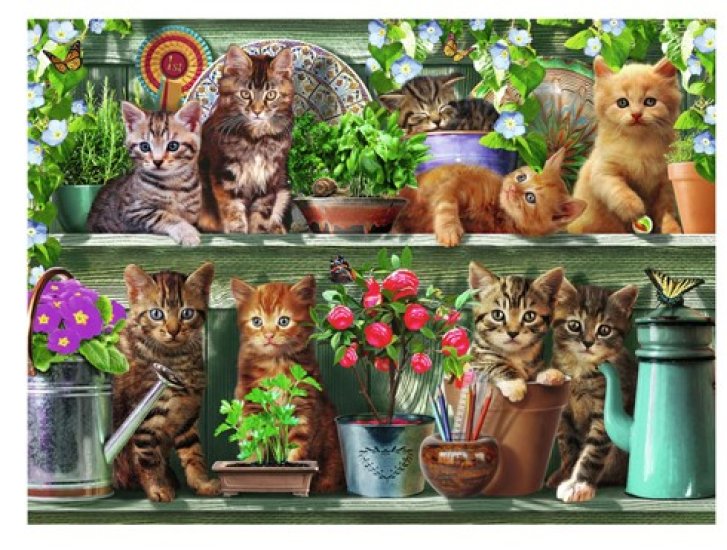 Puzzle 500 – Mačky na poličke