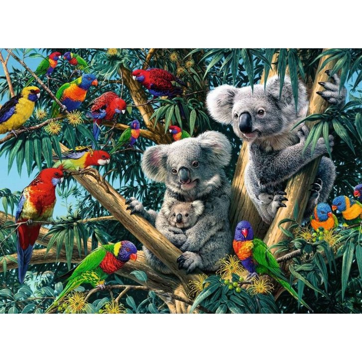 Puzzle 500 - Koaly na strome