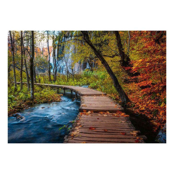 Puzzle 1000 - Tajomný les