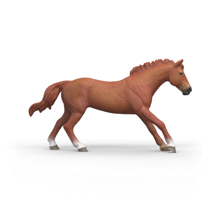 Schleich - Žrebec anglického plnokrvníka 14915