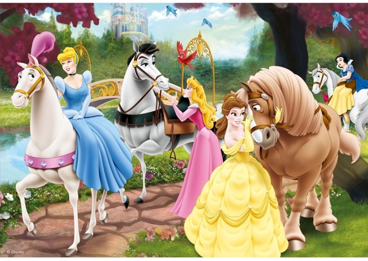 Puzzle 2x24 – Princezné