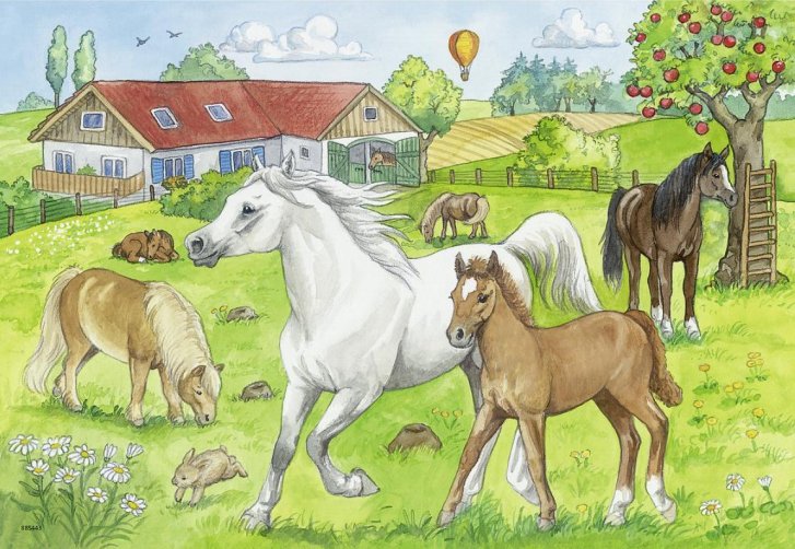 Puzzle 2x24 – Kone