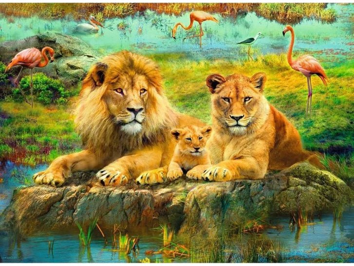 Puzzle 500 - Levy na savane