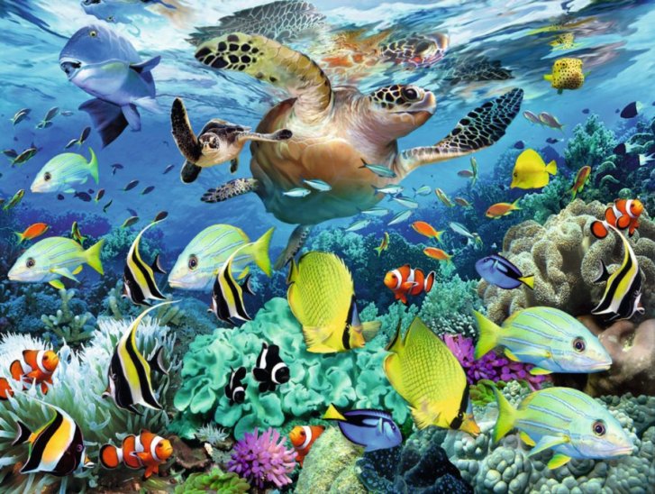 Puzzle 100 XXL – Podmorský raj