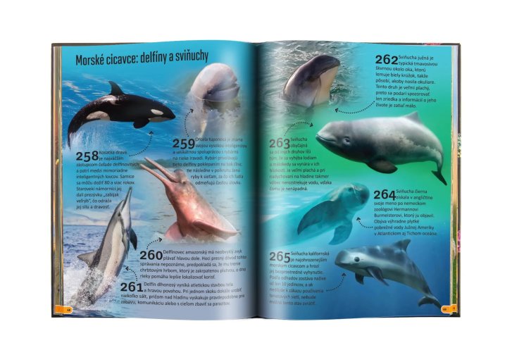 500 Fantastických faktov – Zvieratá