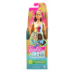 Barbie – Bábika Ocean GRB38