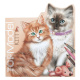 Top Model – Skicár