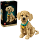 11384 Lego Icons - Šteňa zlatého retrievera