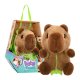 Baby Paws - Kapybara