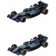 Carrera - F1 Team Mercedes AMG Petronas